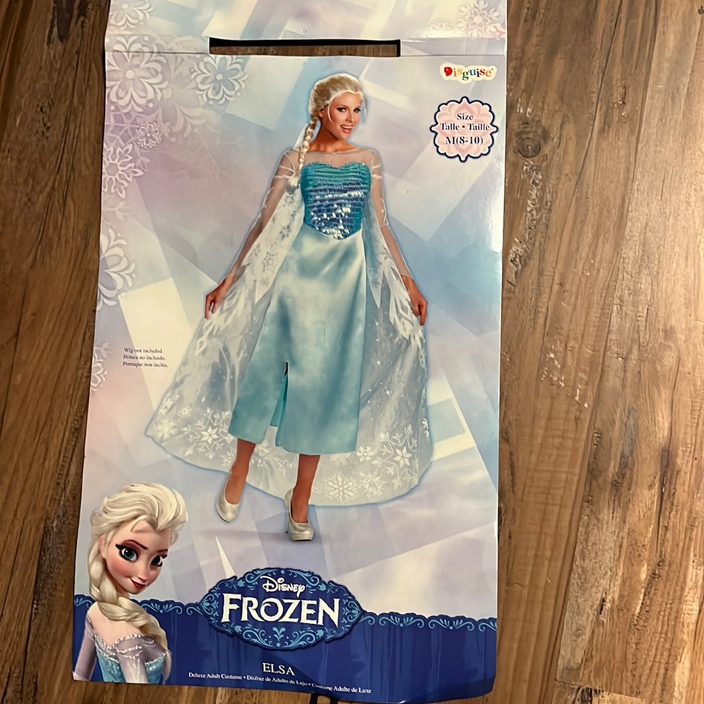 Adult Elsa costume